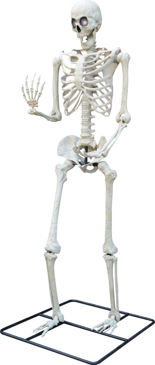 10' STANDING SKELETON