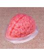 Brain Gelatin Mold