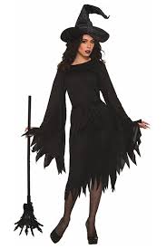 Wicked Witch Adult Costume