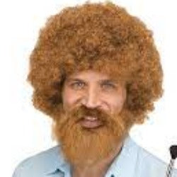 Groovin' Artist Guy Beard and Wig Set