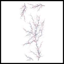 Possessed Veins Trauma Tattoo FX