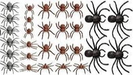 Spider Mega Value Pack