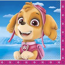 Skye Birthday Beverage Napkins - 16ct.