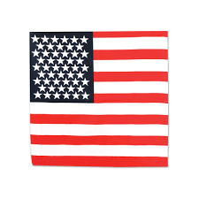 Patriotic Bandana