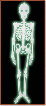 Plastic Night Glo Skeleton