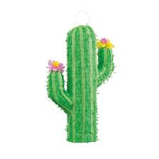Cactus Piñata - No Returns