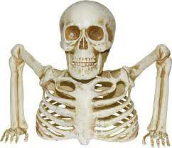 10" Skeleton Groundbreaker