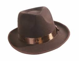 Brown Fedora Hat