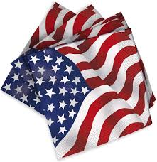 USA Flag Beverage Napkins - 16ct.
