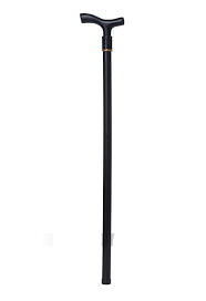Child's Walking Cane