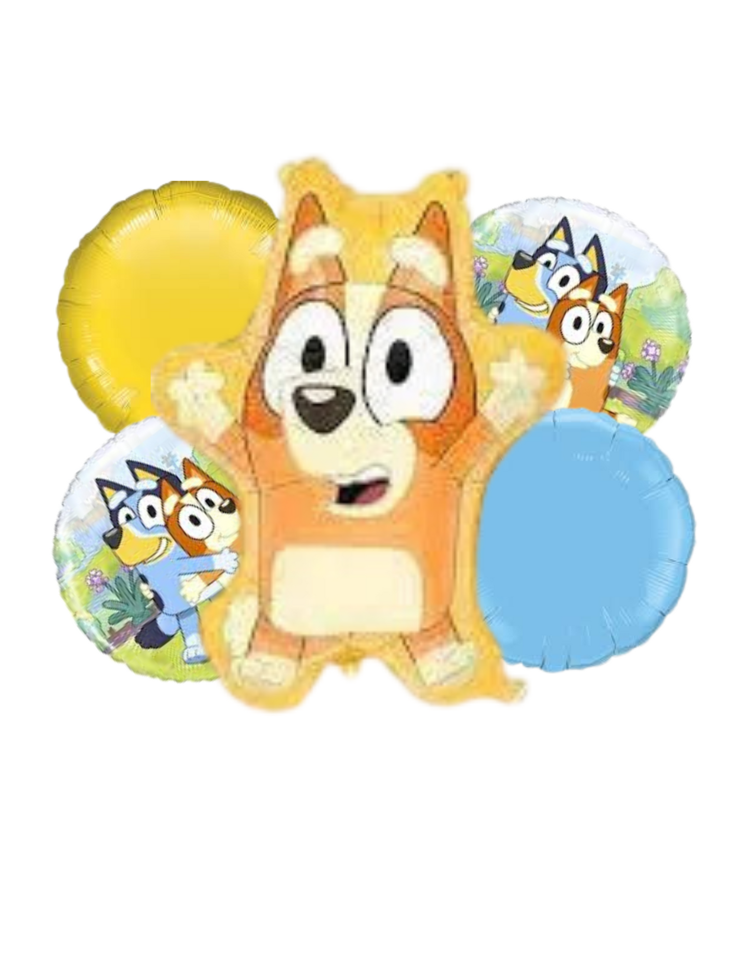 Bluey Helium Bouquet - Pick Up In-Store