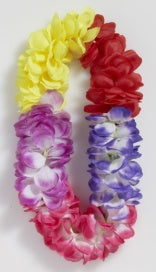 Super Deluxe Multi Color Lei