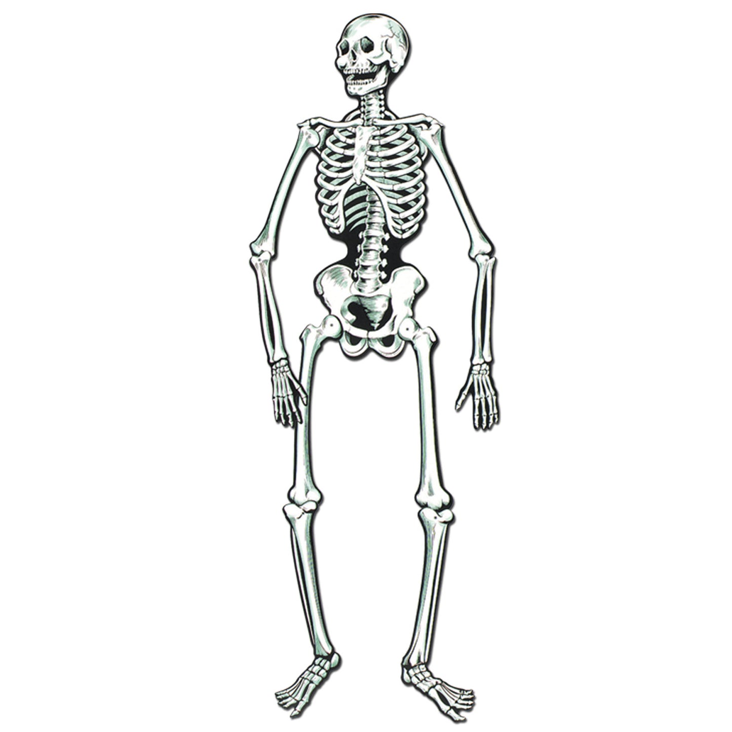CUTOUT - SKELETON JOINTED 22" 2 PCS