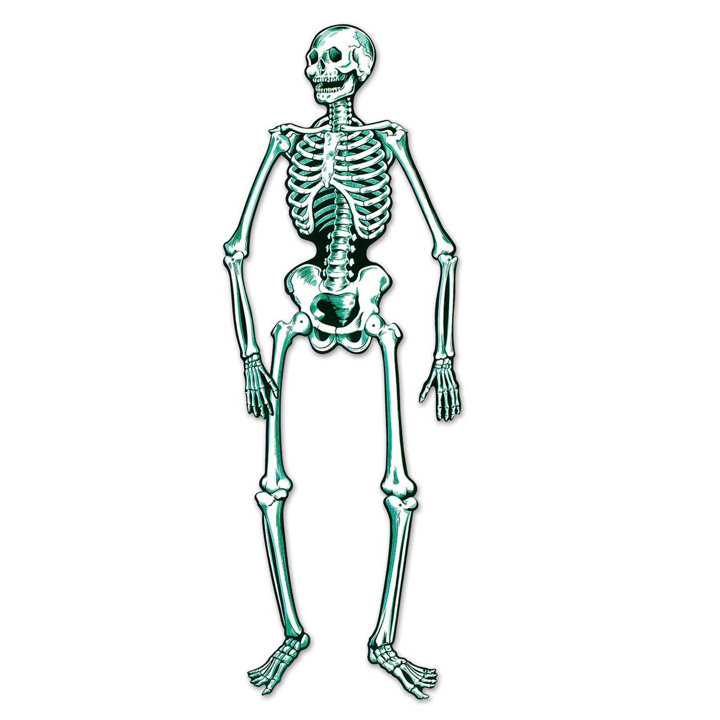 CUTOUT - SKELETON JOINTED 55"