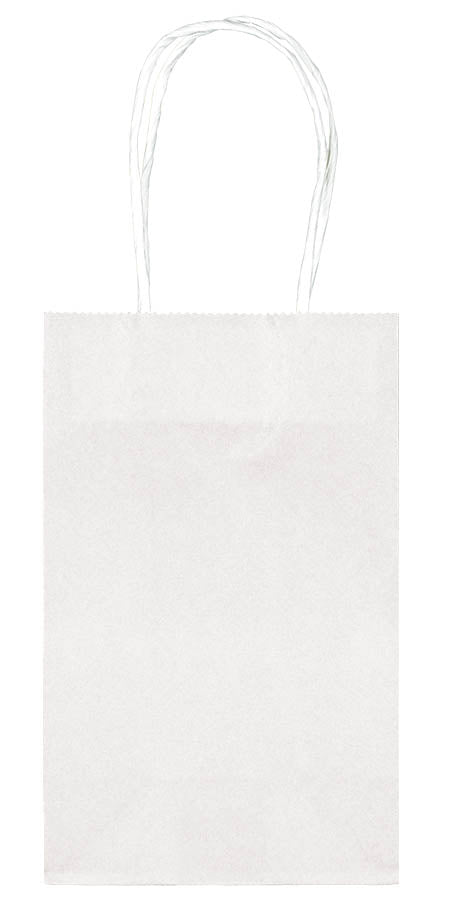 SMALL WHITE GIFT BAG 10 PACK