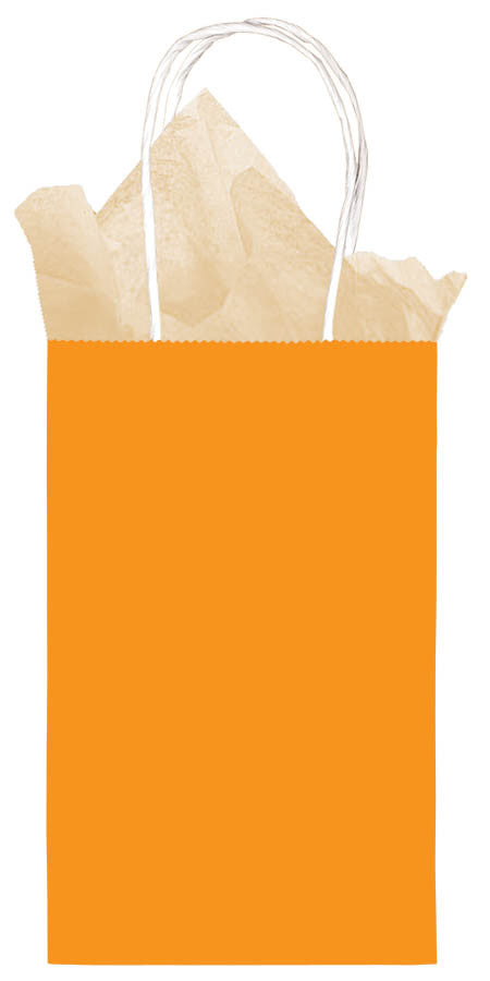 Small Orange Gift Bag