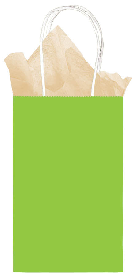 Small Lime Green Gift Bag
