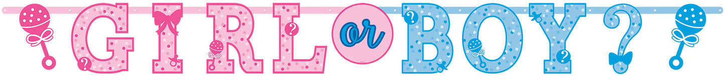 GENDER REVEAL BANNERS 2 PACK