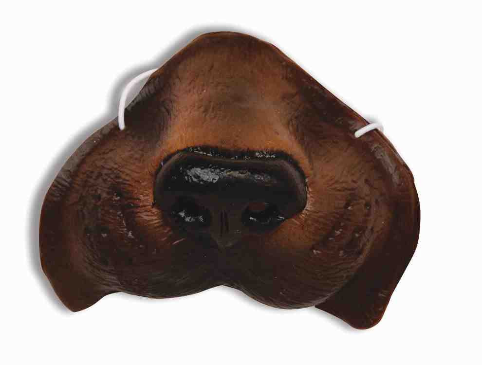 Brown Dog Nose