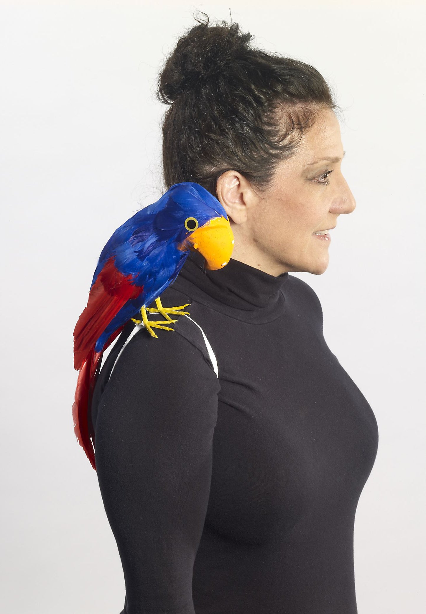 PARROT FOR SHOULDER