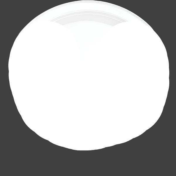 PLATE - FROSTY WHITE 9"    PLASTIC   20 CT/PKG