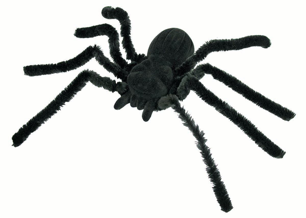 Giant Furry Spider