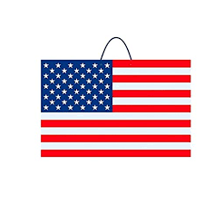 Glitter American Flag