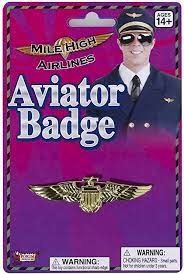 AVIATOR PIN