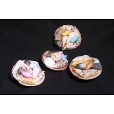 Tiger Clam Shell Pack