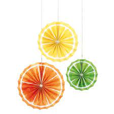Citrus Fruit Paper Fans