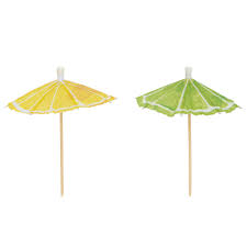 Citrus Fruit Drink Umbrellas