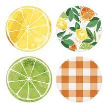 Citrus Fruit Coasters