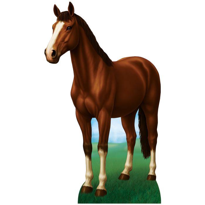 Horse Stand Up