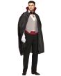 Complete Vampire Costume - Adult