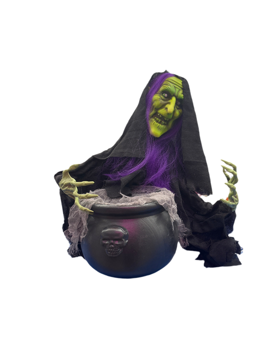 Animated 20" Witch w/Cauldron