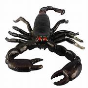 Jumbo Black Scorpion