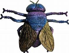 Jumbo Colorful Fly
