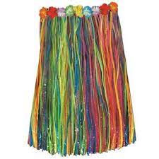 Extra Large Multicolored Hula Skirt
