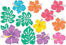 Hibiscus Floral Cutouts
