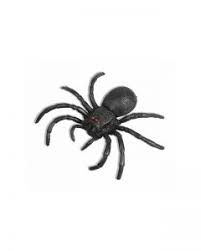 6" Black Rubber Spider