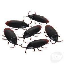 Likelike Cockroaches
