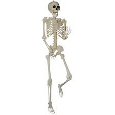 7' Titan Skeleton