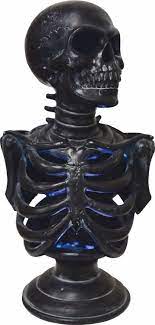 Light Up Skeleton Torso Prop