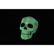 Glow in the Dark Skull