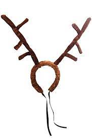 Reindeer Antlers