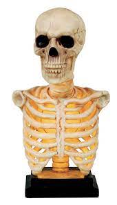 Light Up Skeleton Bust with Sound