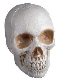 5" Plastic Promotional Skull