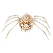 14" Skeleton Spider Prop
