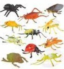 Insect Discovery Playset