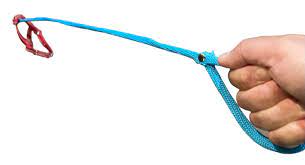 Squirting Invisible Dog Leash